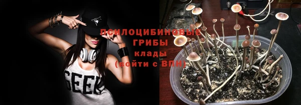 соль ск Инсар