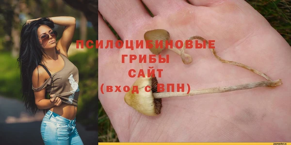 марихуана Инта