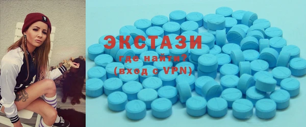 соль ск Инсар