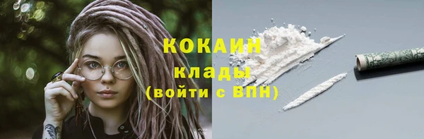 соль ск Инсар