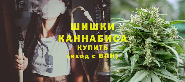 соль ск Инсар