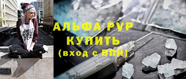 соль ск Инсар