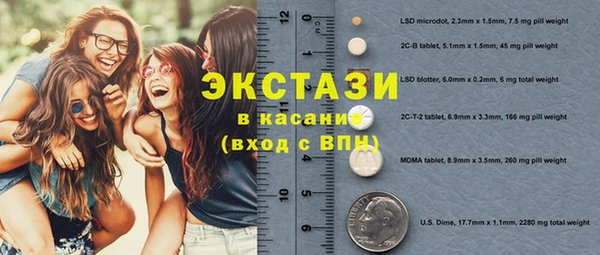 соль ск Инсар