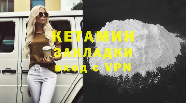 соль ск Инсар