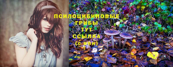 марихуана Инта
